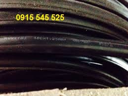 Cáp điều khiển có lõi thép chịu lực 10Cx1.25mm2