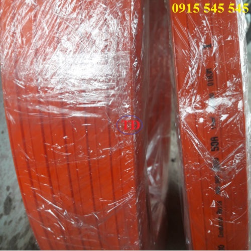 Hình ảnh ray điện an toàn 3P 50A